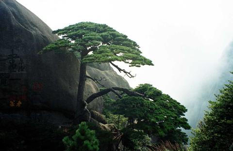 Huang Shan
