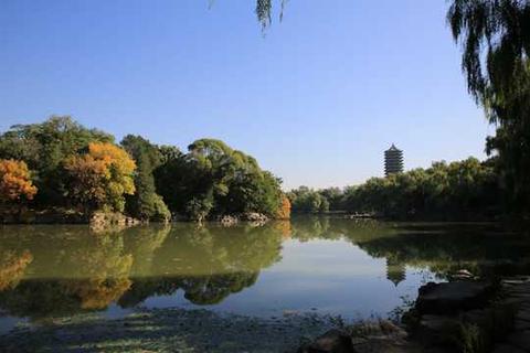 Peking University